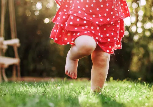 Other South Jersey Yard Services | Elite Turf Management LLC