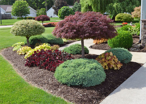 Other South Jersey Yard Services | Elite Turf Management LLC