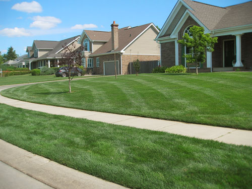 Lawn Aeration in South Jersey | Elite Turf Management LLC