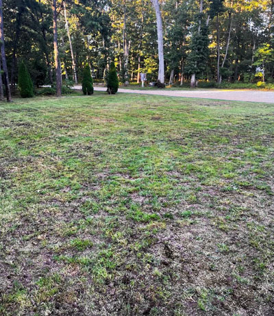 Lawn Aeration in South Jersey | Elite Turf Management LLC