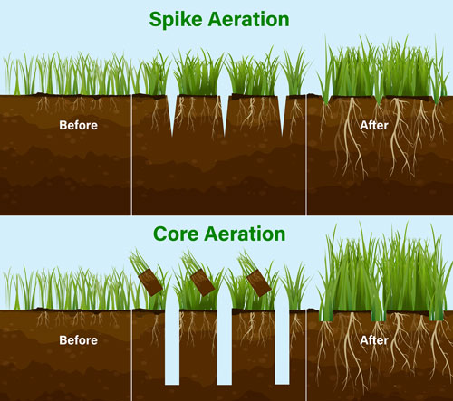 Lawn Aeration in South Jersey | Elite Turf Management LLC