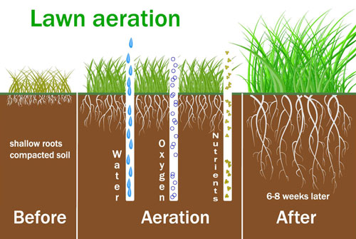 Lawn Aeration in South Jersey | Elite Turf Management LLC