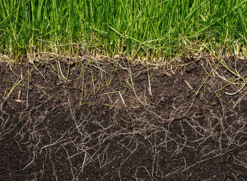 Other South Jersey Yard Services | Elite Turf Management LLC