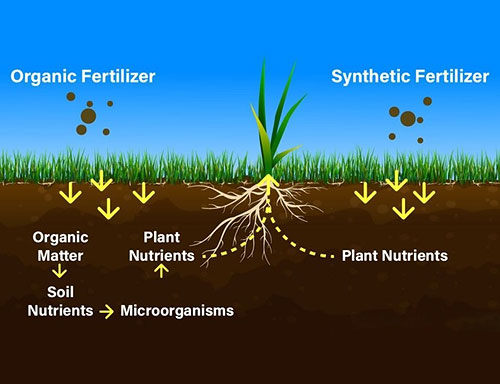 Weed Control & Lawn Fertilizing in South Jersey | Elite Turf Management LLC